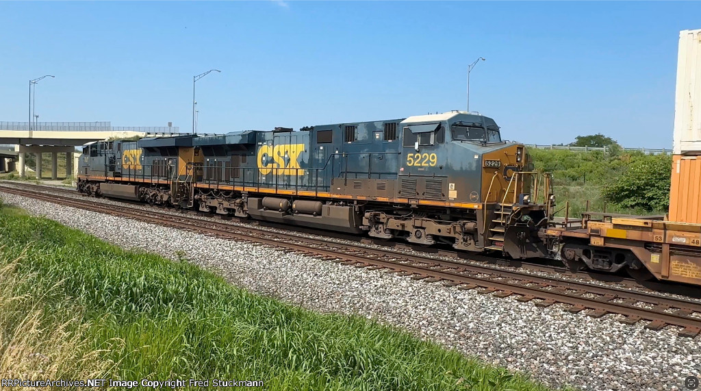 CSX 5229 has leprosy.